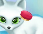 Paws to Beauty Arctic Edition