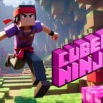 Cube Ninja