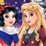 Princess Winter Fashion