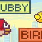 Chubby Birds