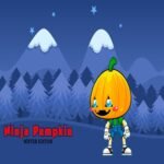Ninja Pumpkin Winter Edition