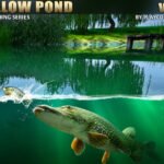 Willow Pond Fishing