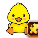 Duck Puzzle Challenge