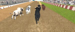 Angry Bull Racing