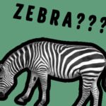 The World’s Easiest Quiz Game