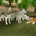 Wild Wolves Hunger Attack