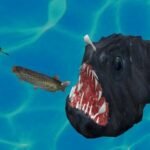Fish3D.io