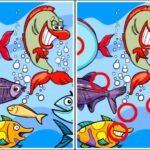 Fish Differences