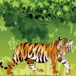 Angry Tiger Coloring