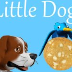 Little Dog