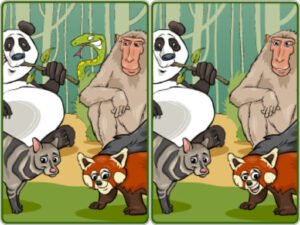 Wildlife Safari Five Diffs