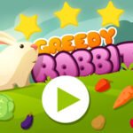 Greedy Rabbit