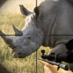 Wild Rhino Hunter