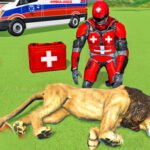 Animal Rescue Robot Hero