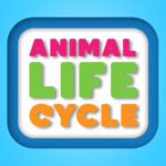 Animal Life Cycle