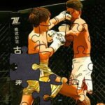 MMA Fighters Jigsaw