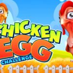 Chicken Egg Challenge