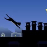 Mr Speedy the Cat