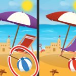 Spot The Difference – Seasons